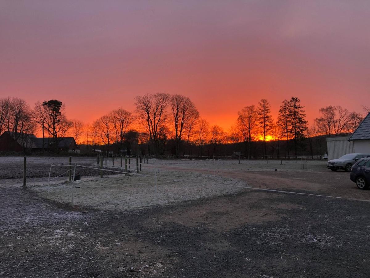 Laegenhet Pa Haestgard Lägenhet Ljungbyhed Exteriör bild