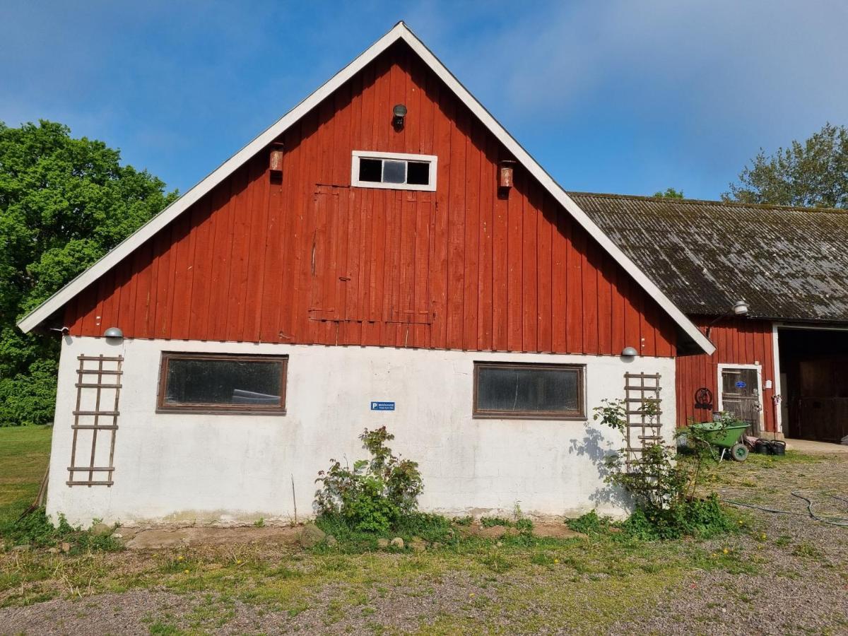 Laegenhet Pa Haestgard Lägenhet Ljungbyhed Exteriör bild